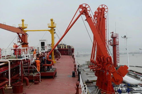 杭州海關深化改革助力甬舟一體化，燃料貿易成效顯著