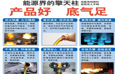 植物燃料油 一種簡易環保的能源制作指南