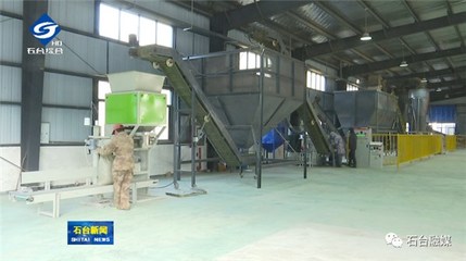 我縣首家生物質顆粒項目正式投產，開啟綠色燃料新篇章